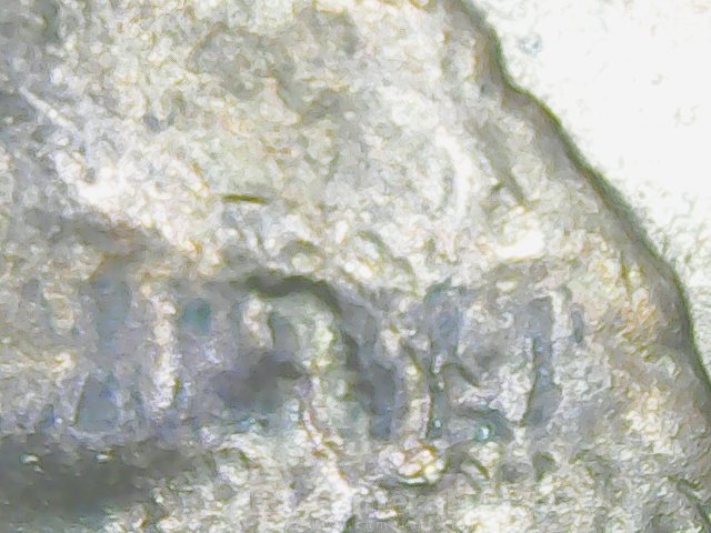 1959-D-Lmc-No-Clue-Error
