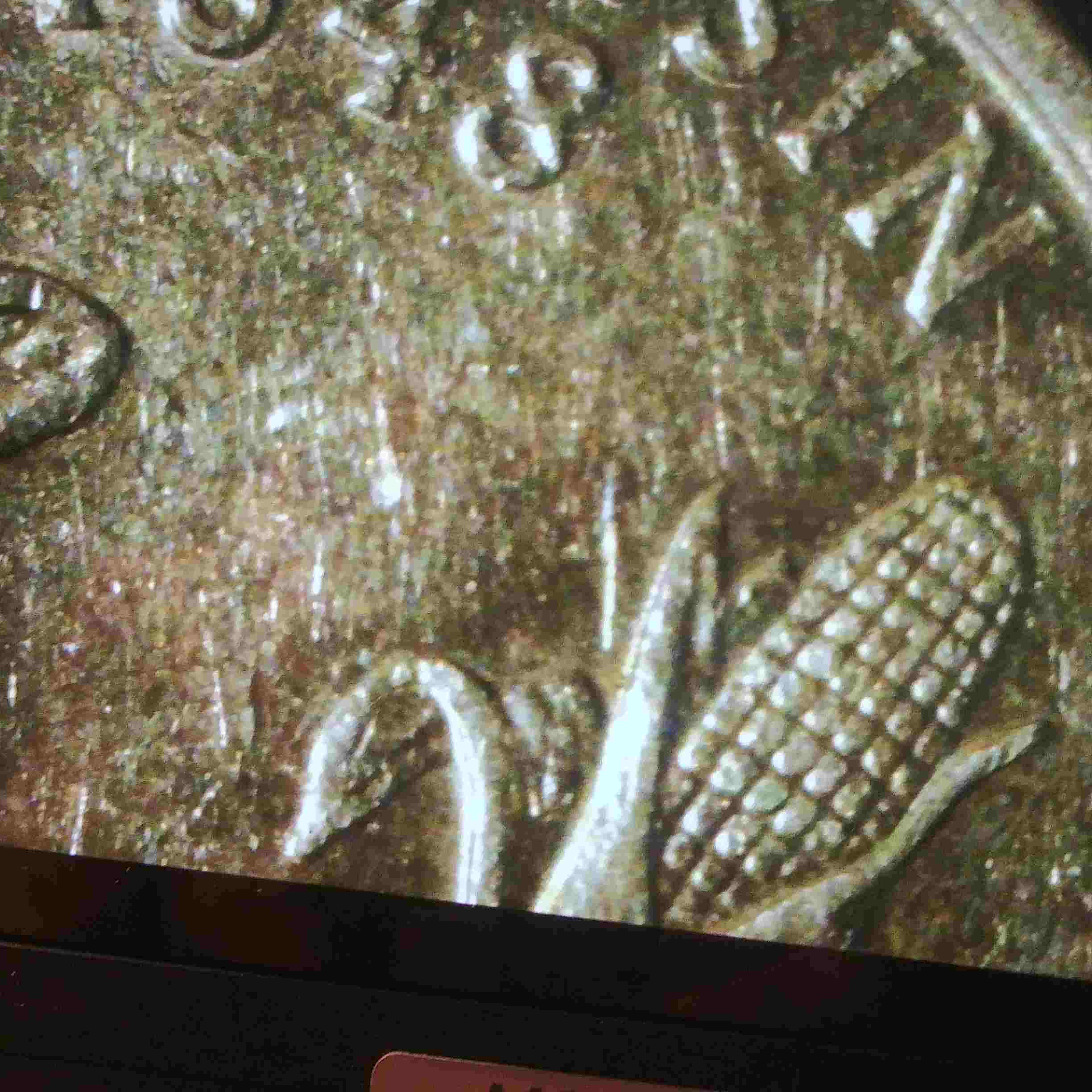 2004-D-Wisconsin-Quarter-Die/Polish/Scratch-Question