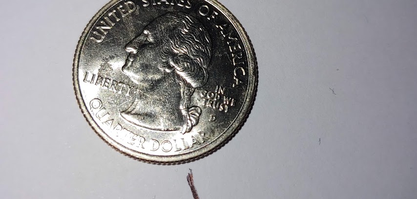 2006-North-Dakota-Quarter-Cud