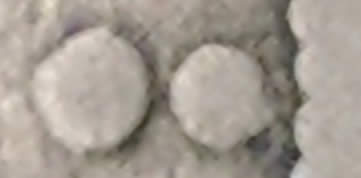 So-This-V-Nickel-Has-A-Dot-Where-The-Mintmark-Should-Be-And-Odd-Lettering.