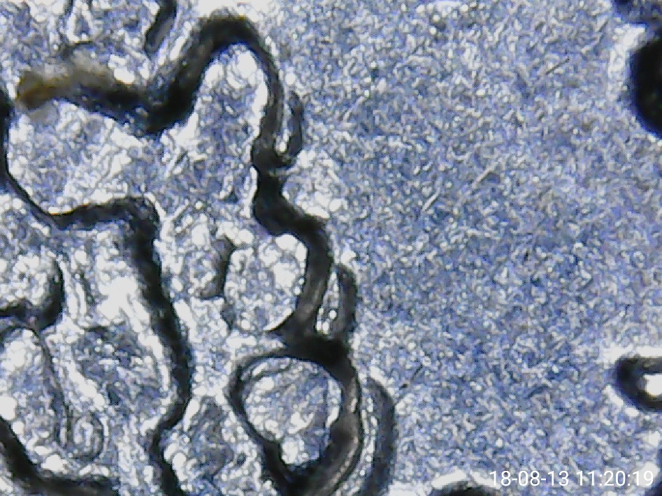 2015-North-Carolina-Blue-Ridge-Parkway-Atb-Quarter