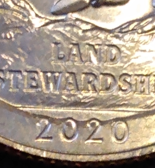 '2020'-P--Washington-Quarter-Dollar.-What-Would-You-Call-This-Error?