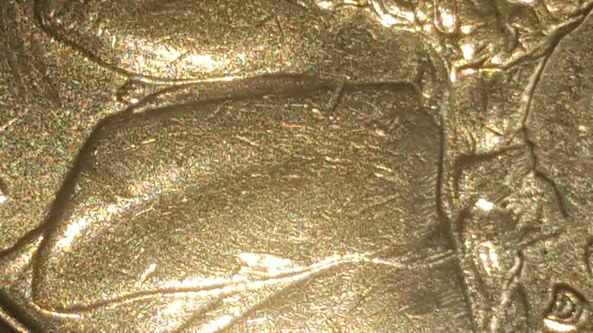 2000-D-Nickel-🤓-What-Do-I-See-Here?-Can-You-Help?