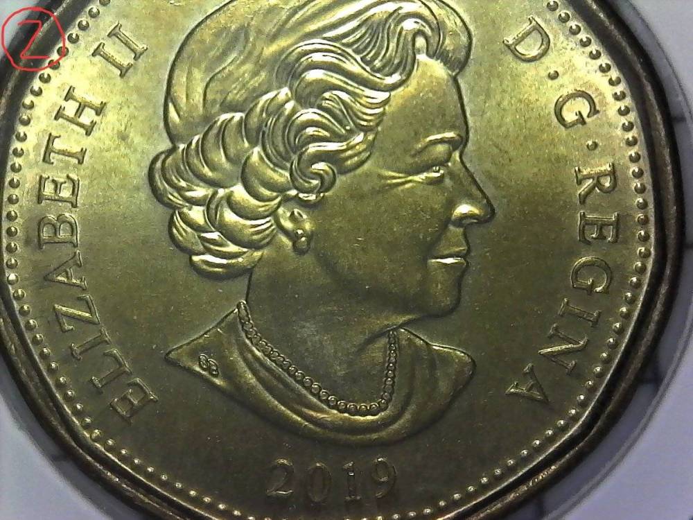 2-2019-Dollar-Coin-Grade-Help