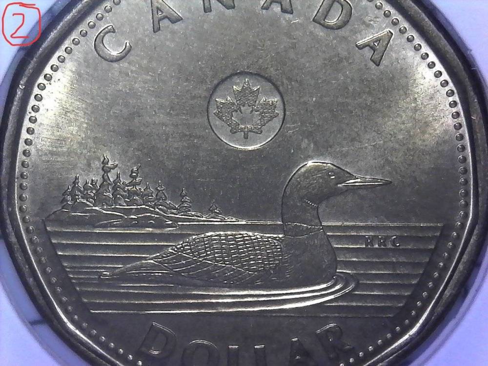 2-2019-Dollar-Coin-Grade-Help
