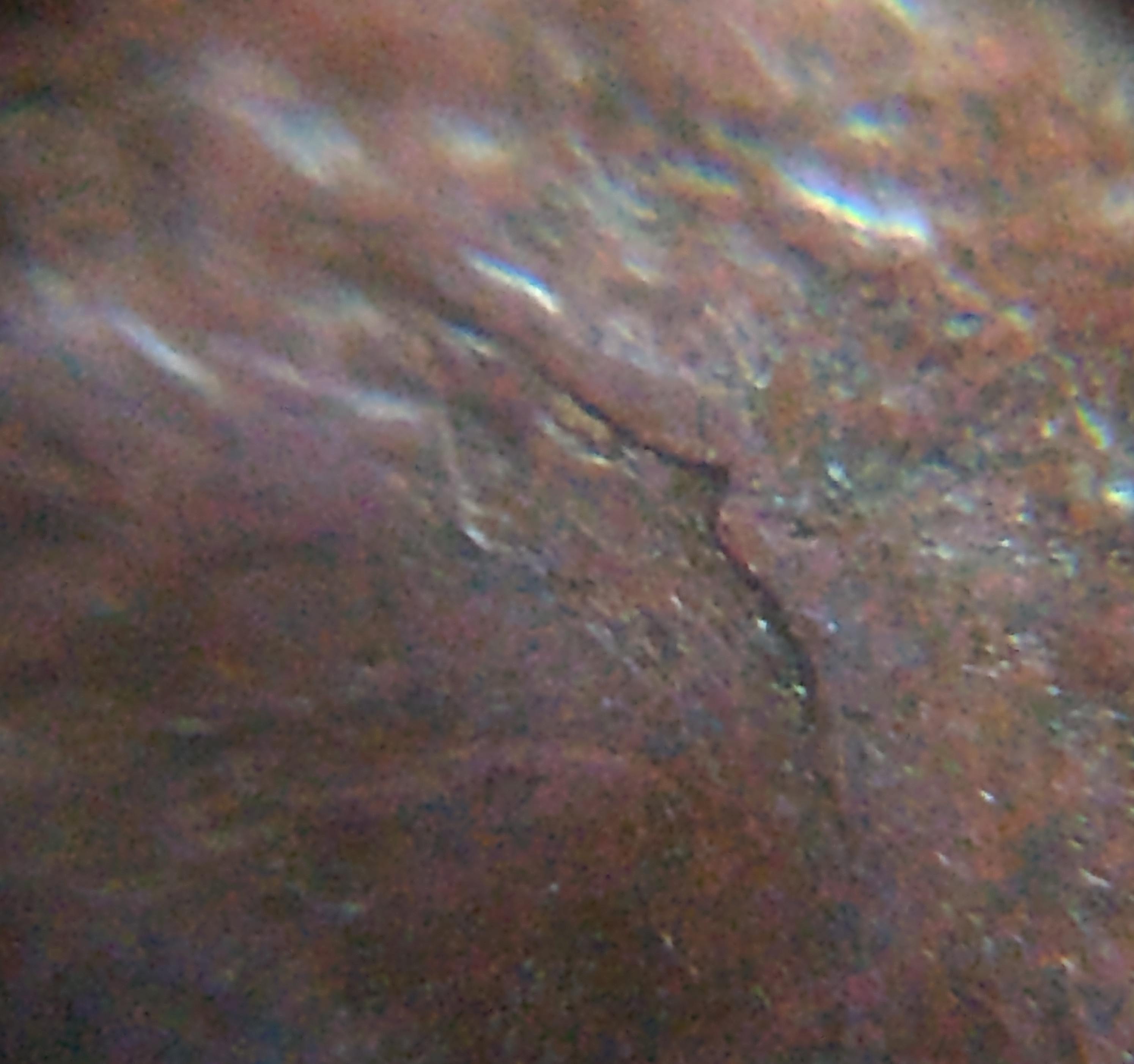 Here's-My-Latest-Find-1952-Red-Penny-Feedback-Welcomed-&[:d]