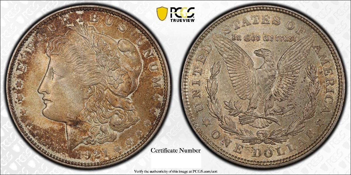 A-You-Vs-PCGS-For-Grade-And-Error-1921-Morgan