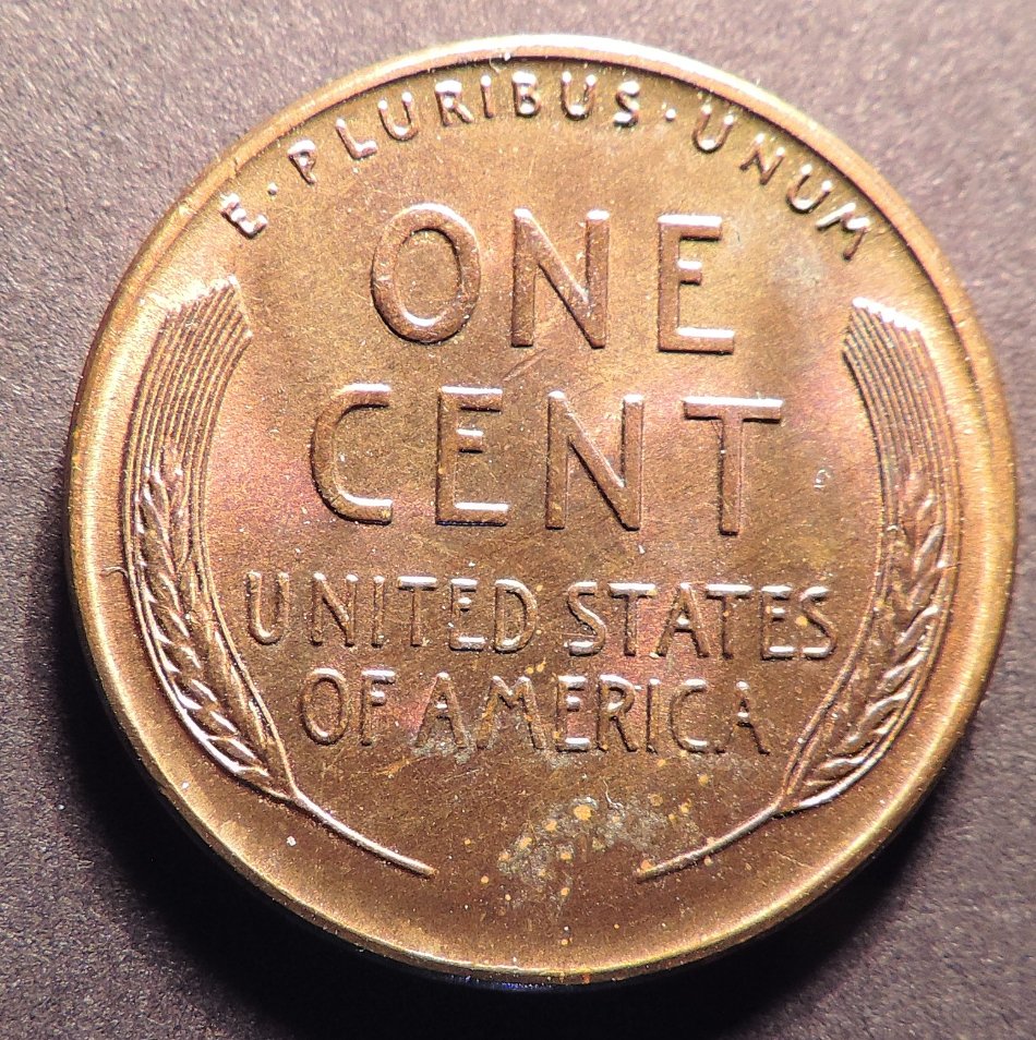 1955-S-DDO-001-Check-Pls