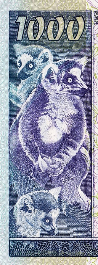Monkeys-And-Other-Primates-On-Banknotes