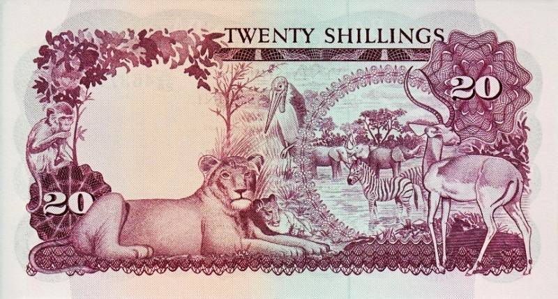 Monkeys-And-Other-Primates-On-Banknotes