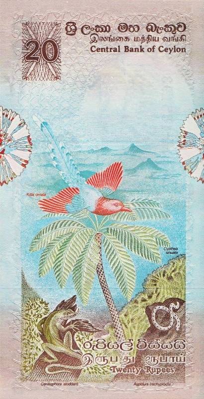 Monkeys-And-Other-Primates-On-Banknotes