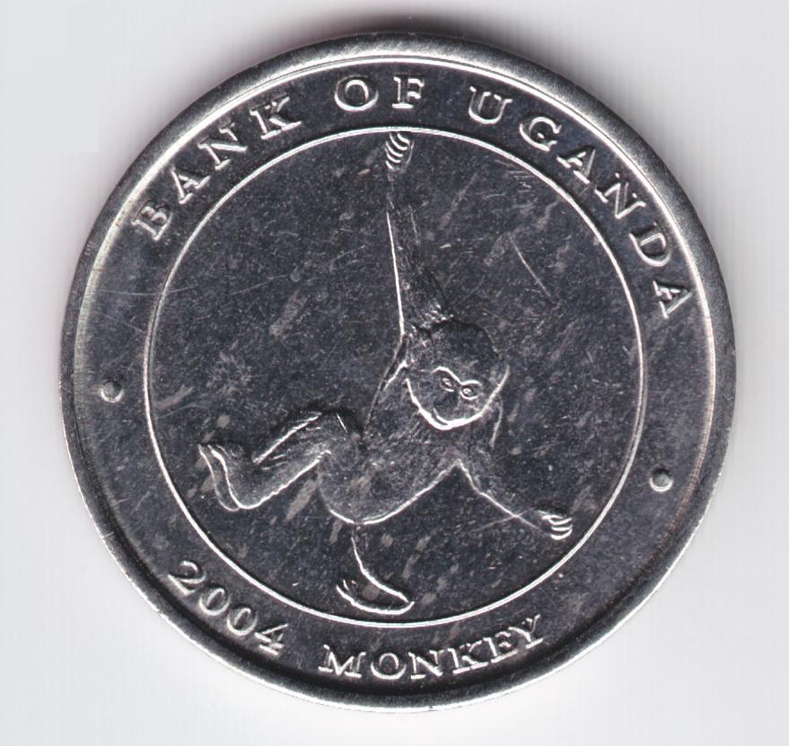 Post-Your-Coins-With-Monkeys,-Apes-And-Other-Primates
