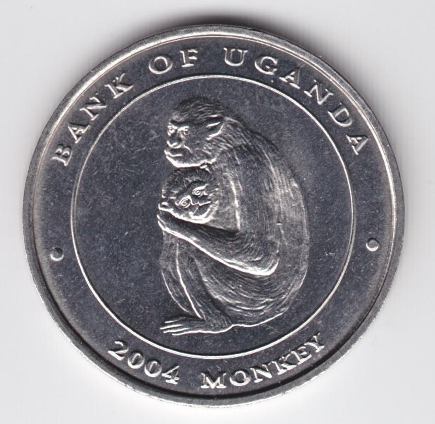 Post-Your-Coins-With-Monkeys,-Apes-And-Other-Primates