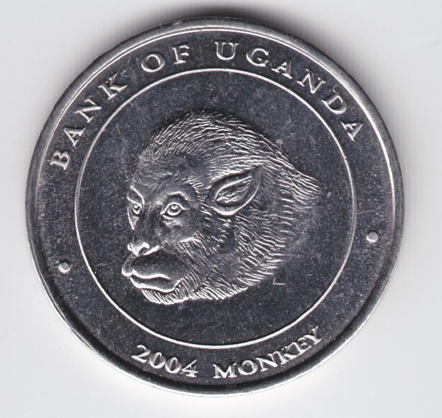 Post-Your-Coins-With-Monkeys,-Apes-And-Other-Primates