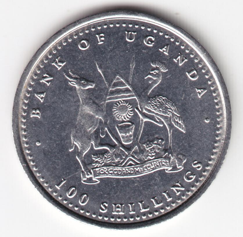 Post-Your-Coins-With-Monkeys,-Apes-And-Other-Primates