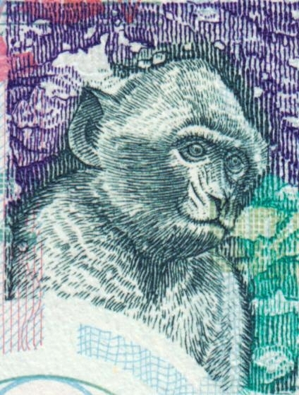 Monkeys-And-Other-Primates-On-Banknotes