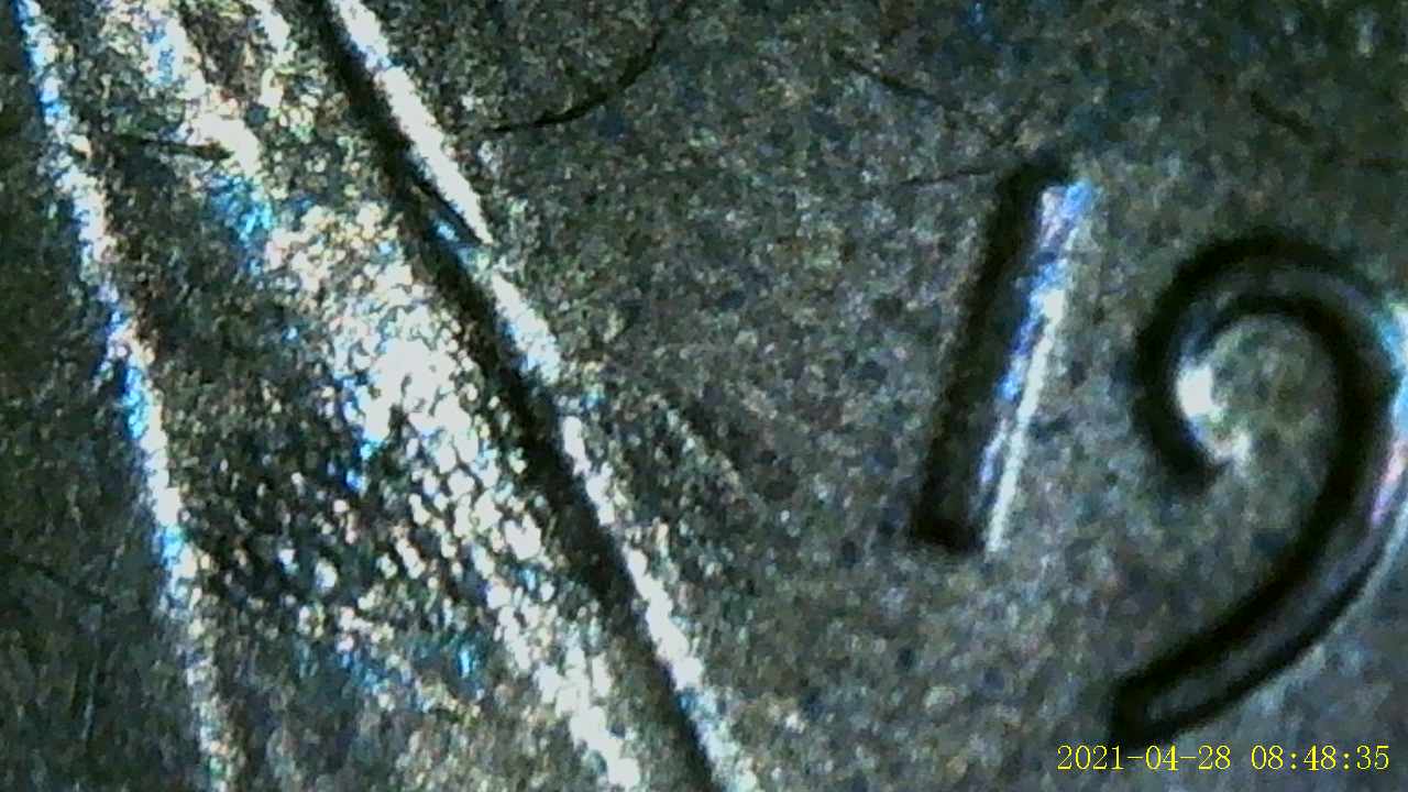 1986-Penny-,-Possible-Mule-?-Any-Help-Is-Appreciated
