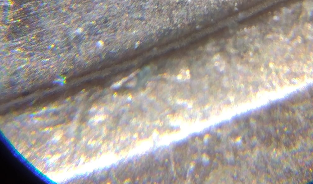 2013-D-Penny-Questions.