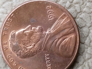 1992-P-Lincoln-Cent-Close-AM?!?