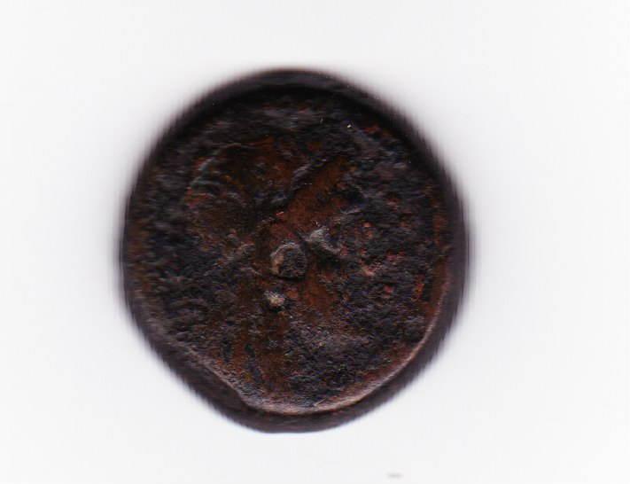 Ptolemaic-Egypt-Coin-Identification