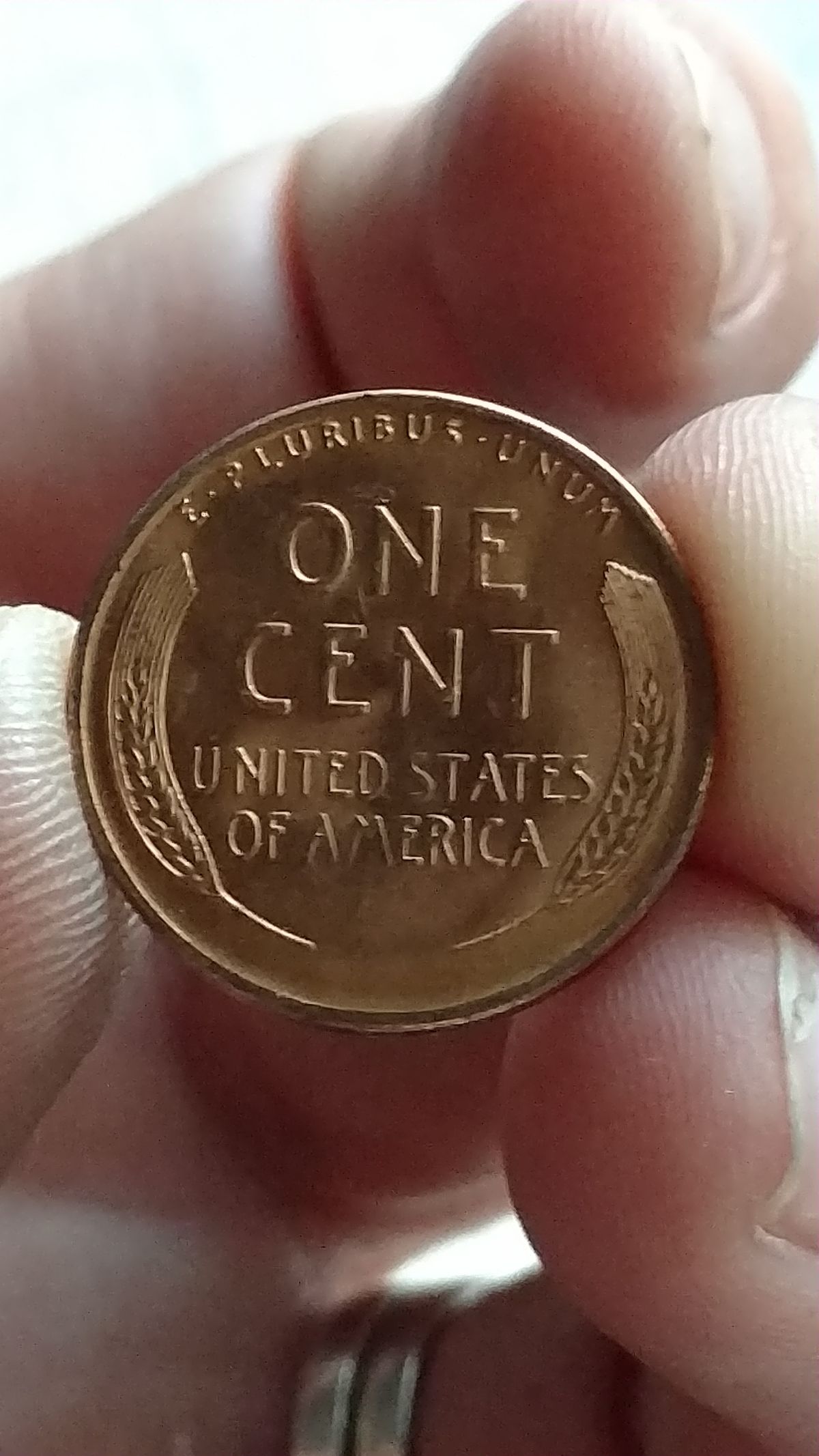 1955-S.-Wheat-Back-Penny