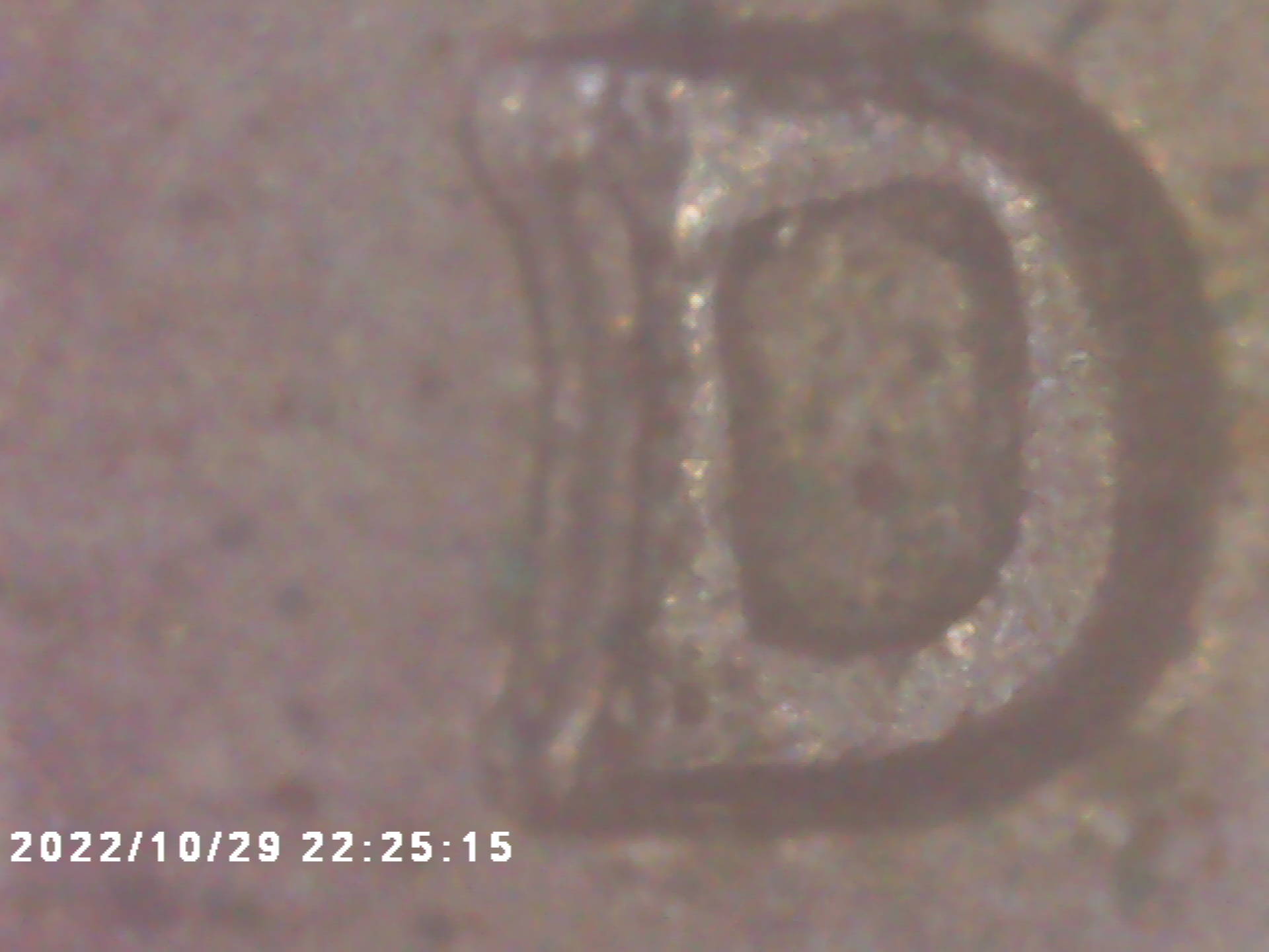 1964-RPM-Jefferson-Nickel-Worth-Sending-To-Get-Checked-Out