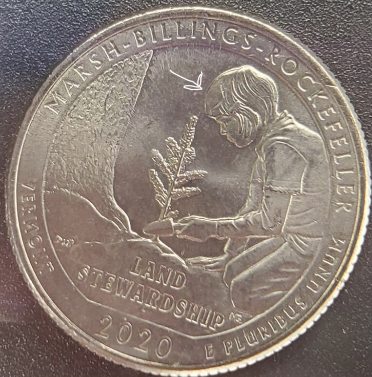 2020-US-Quarter-Error?