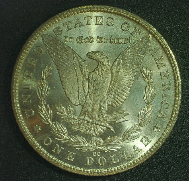 Here's-A-Beauty,-1884-CC-Morgan,-Slab-It?