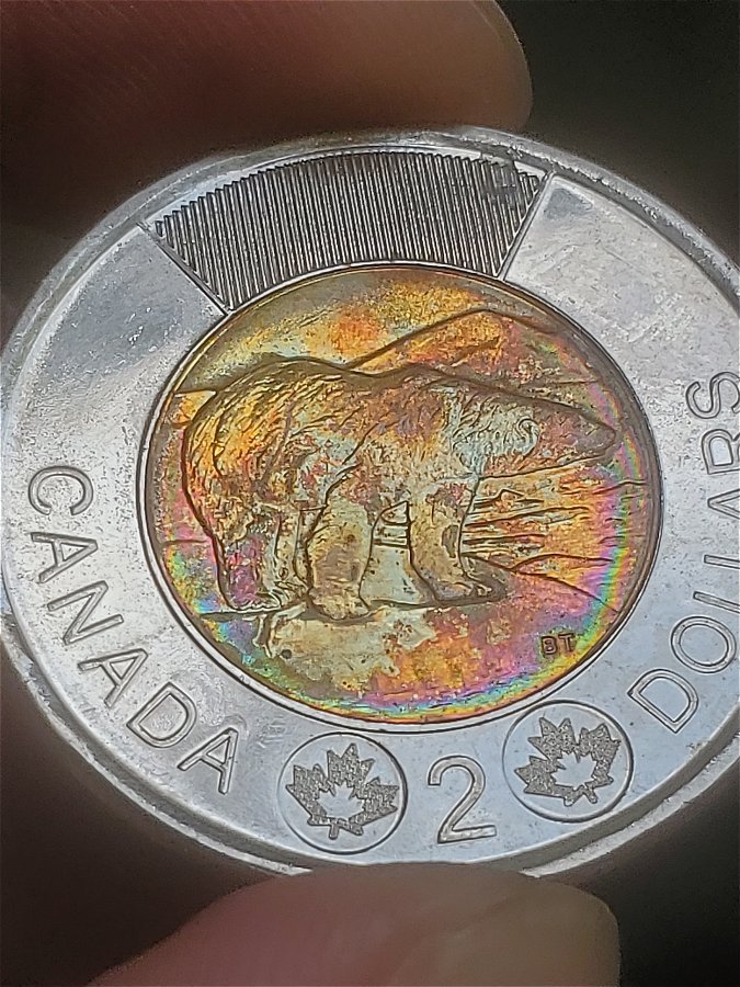 2018-Toonie-That-Looks-Like-A-DDO,-Thoughts-Anyone?