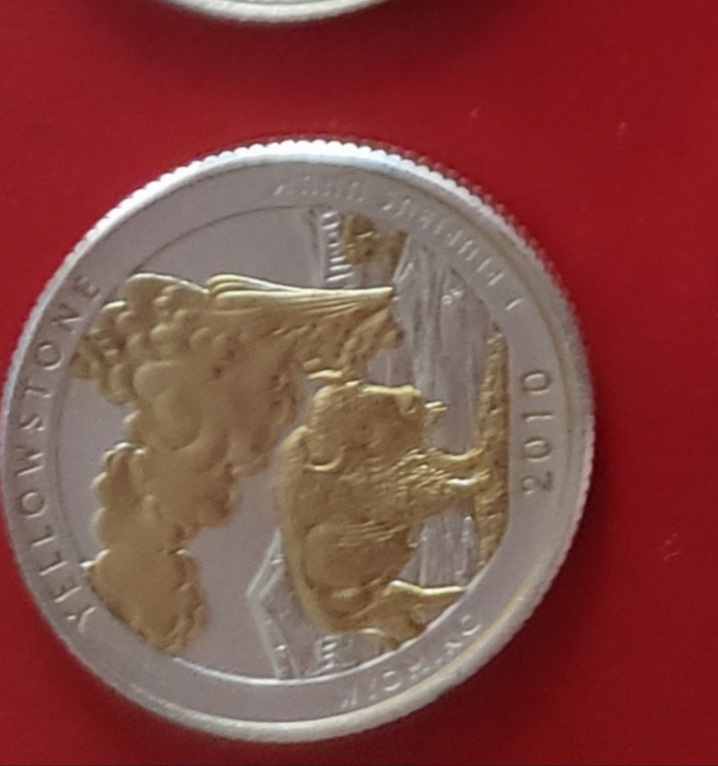 Plastic-Coated-Partial-Gold-Plate-Quaters