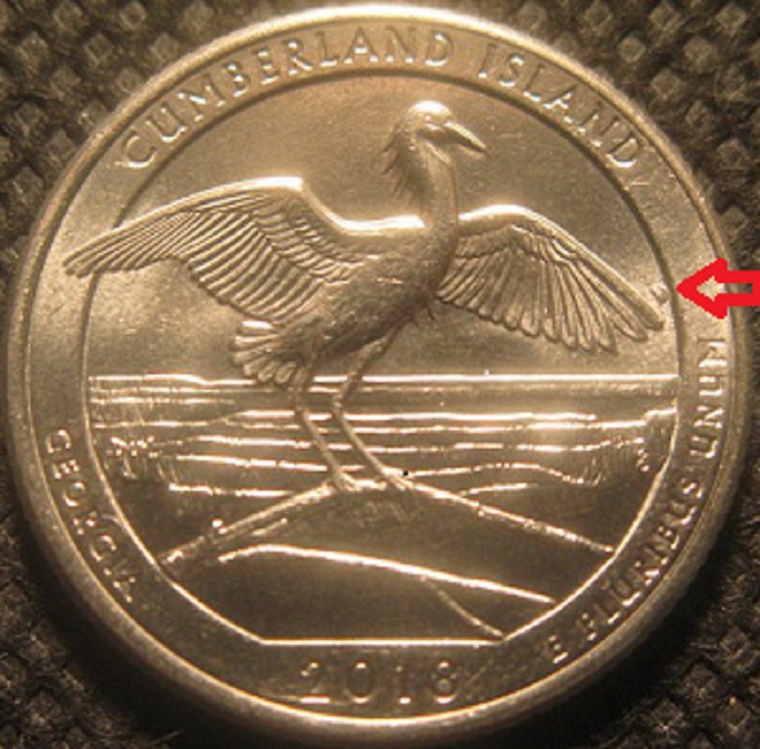 2018-P-Quarter,-Cumberland-Island-Np