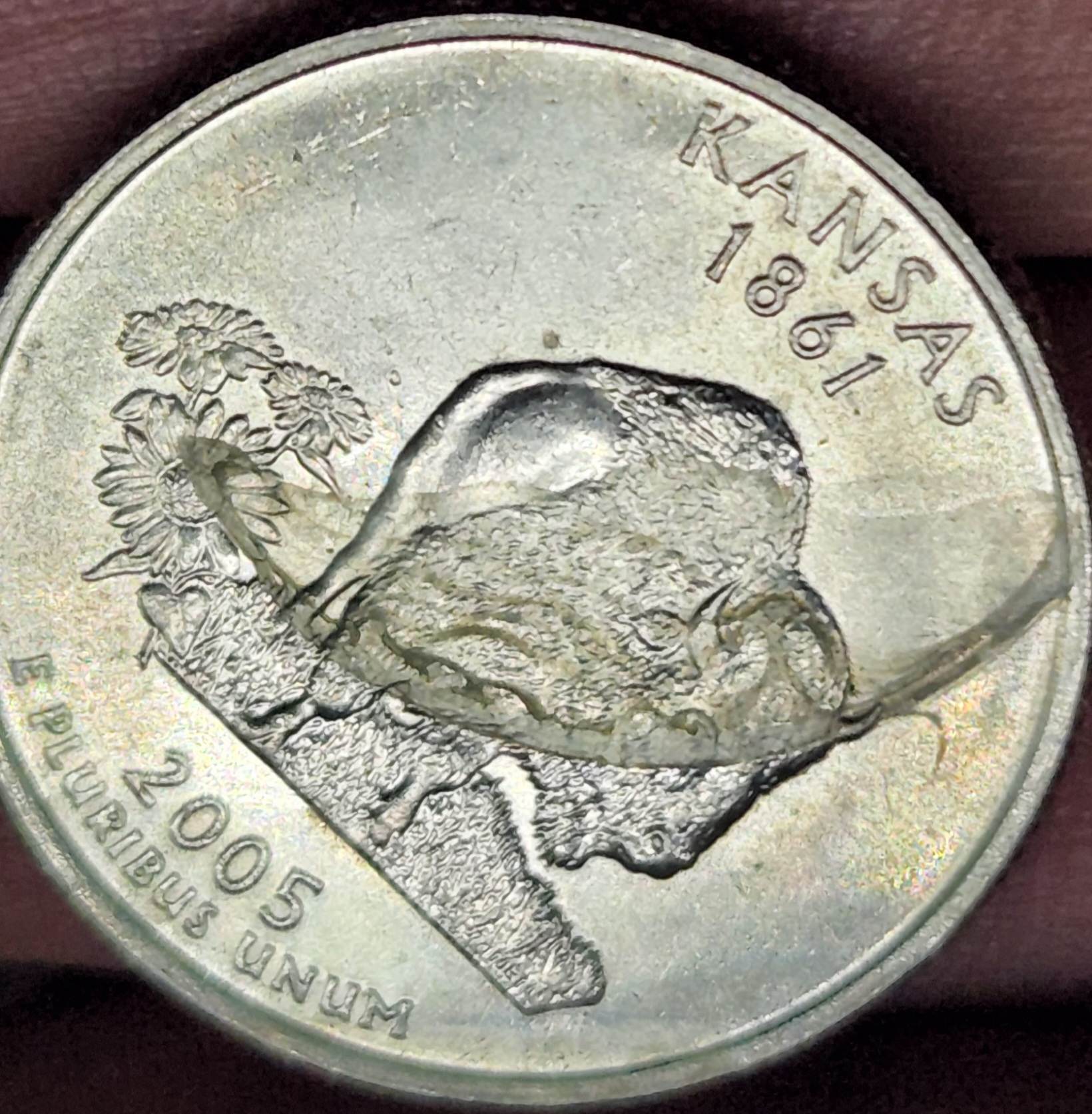 2005-Kansas-Quarter-Error