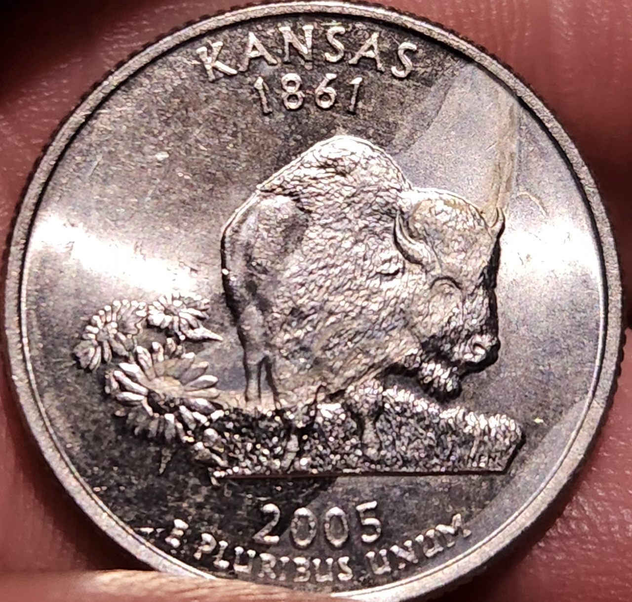 2005-Kansas-Quarter-Error