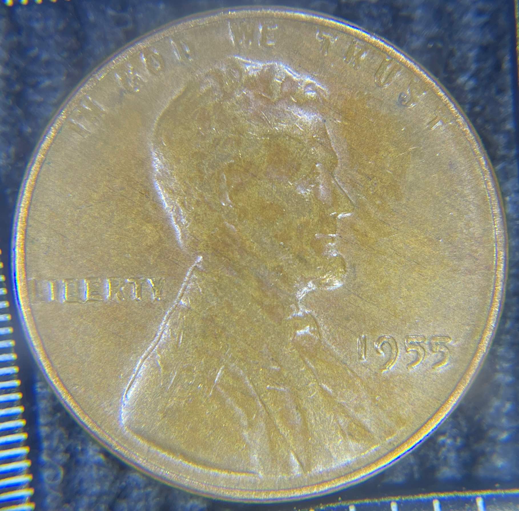 1955-Wheat-Penny---Be-Connected?