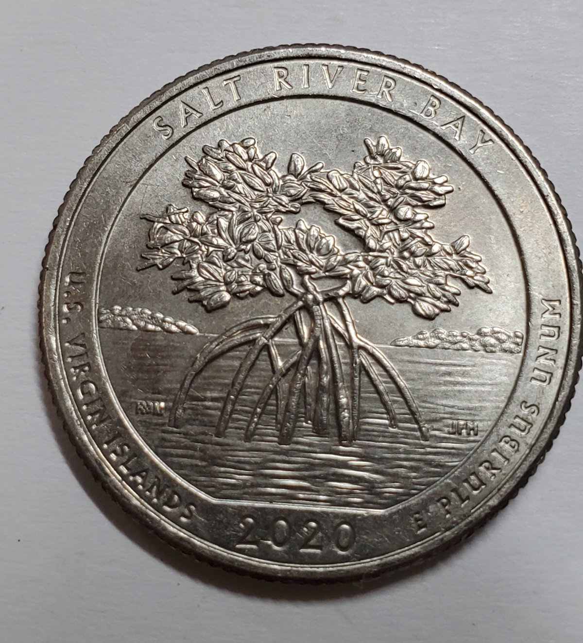 2020-P-Salt-River-Bay-Quarter,-Mark-On-Top-Of-Head-Under-A-In-America?