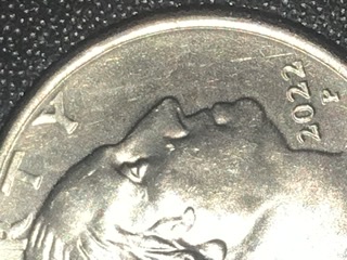 How-Do-You-Check-To-See-If-You-Have-Found-A-New-Error-?-2022-P-Quarter