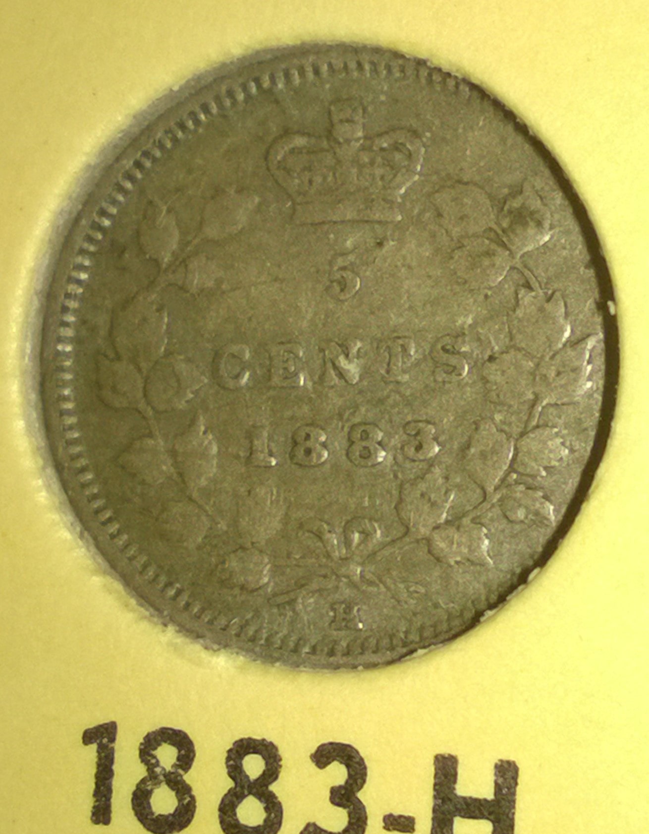 1883-H-5-Cents---Obverse-4?