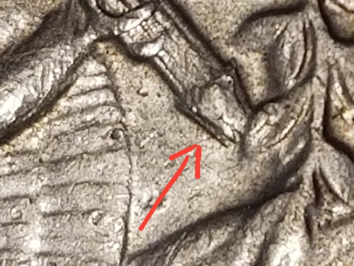 1964-D-Quarter-Strike-Doubling-Or-DDR?