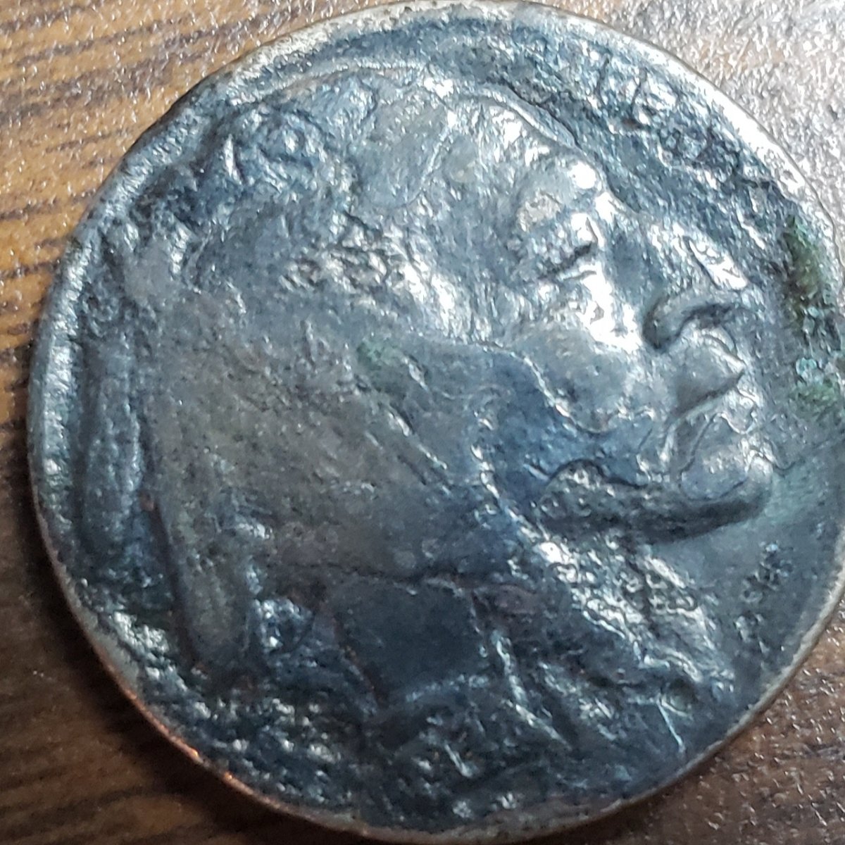 Buffalo-Nickel-Not-Sure-What-To-Think-Just-Environmental?