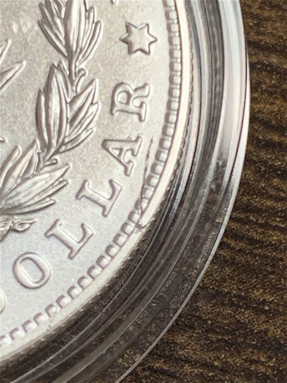 2021-Peace-And-Morgan-Dollars!