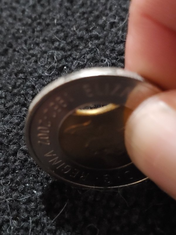 New-Guy-With-A-Clipped-Toonie