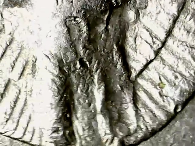 1987-D-Quarter-With-Strange-Right-Leg-On-Eagle