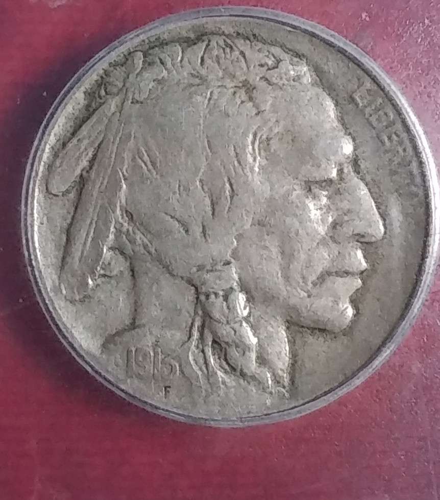 Grade-Opionions-On-Buffalo-Nickels-1913-35-By-All-4-TPG's