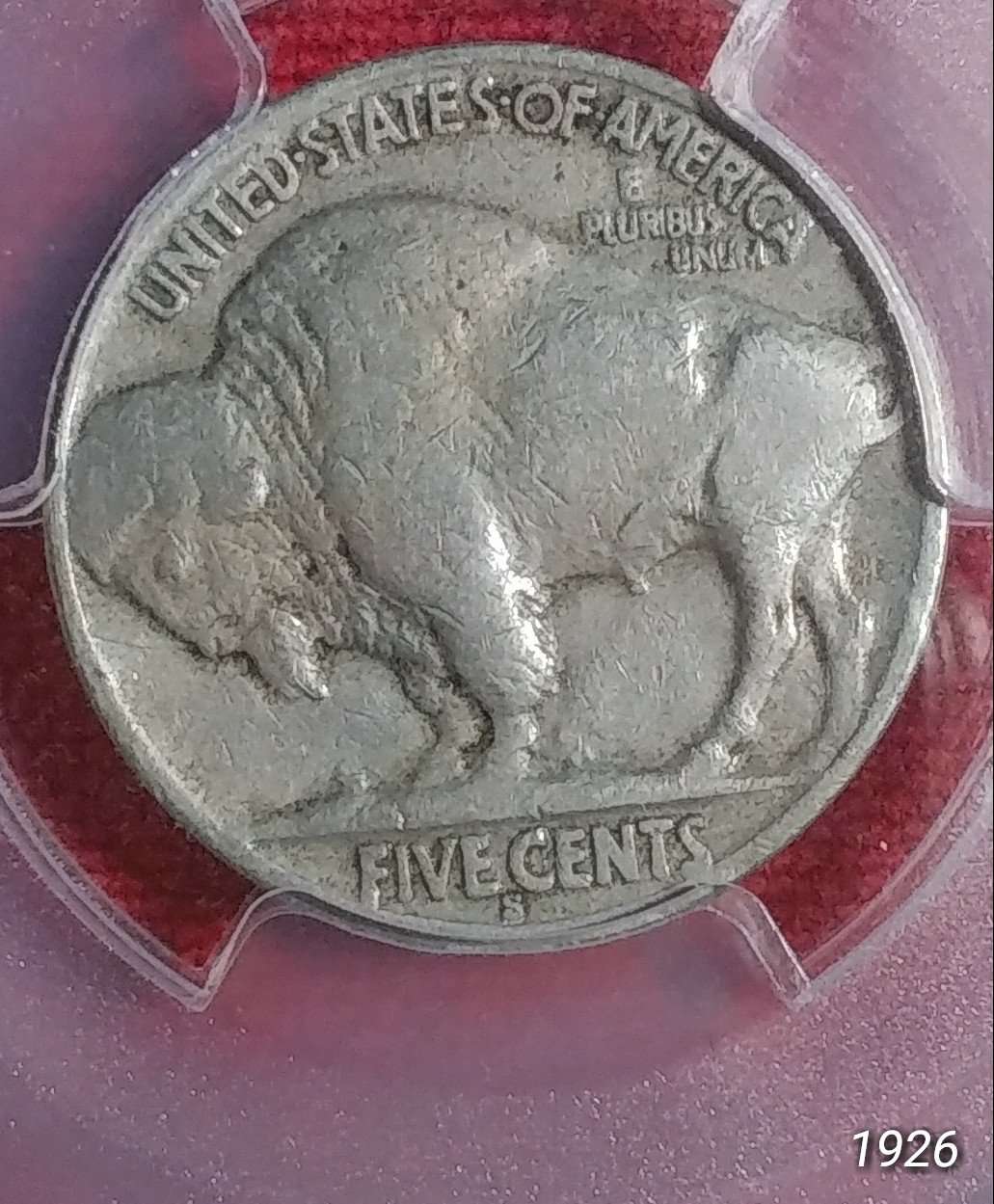 Grade-Opionions-On-Buffalo-Nickels-1913-35-By-All-4-TPG's