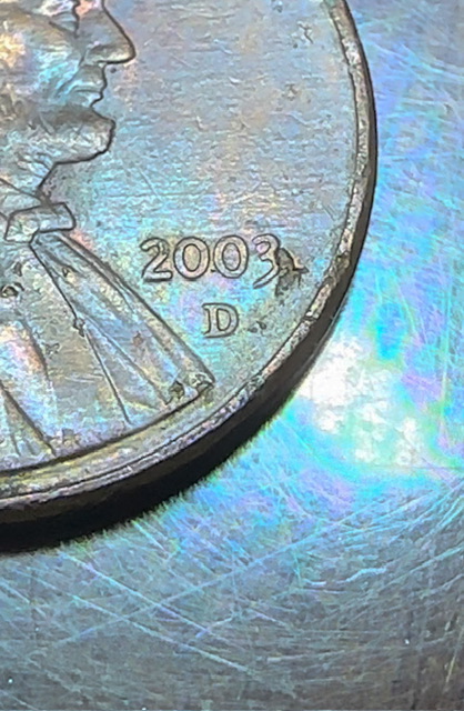Bug-Imprinted-On-A-2003-Penny