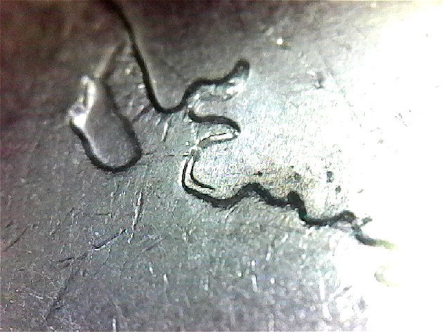 Post-Your-Wyoming-Saddle-Horn-DDR-State-Quarters!