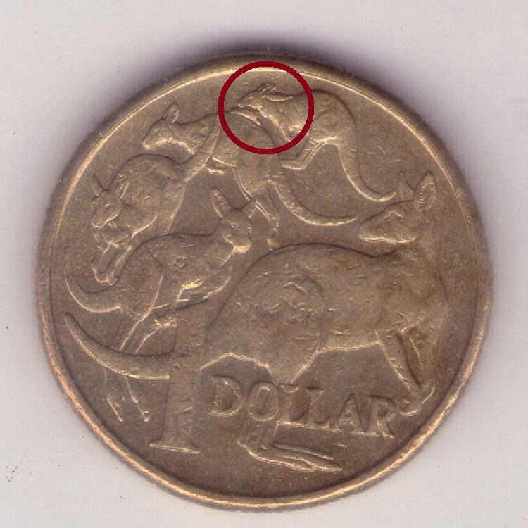 The-Big-Noodle:-Australian-1-Dollar-Coins