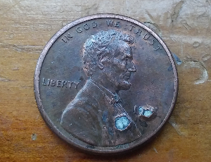 Please-Help-Identify-This-Penny