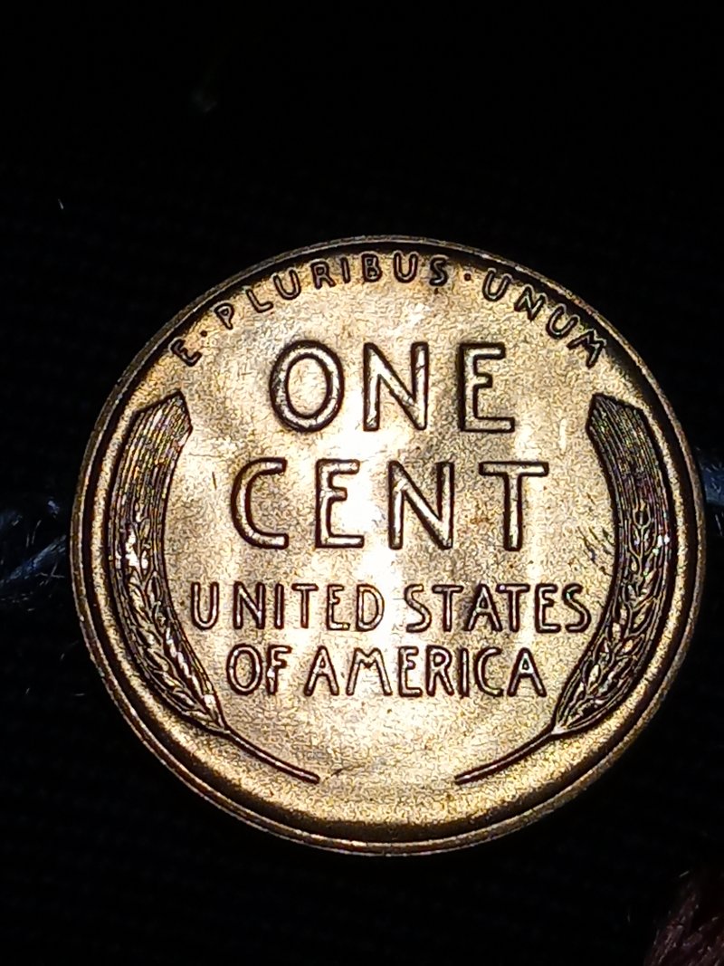 1955-Wheat-Cent-Grade-Please-Is-It-A-DDO
