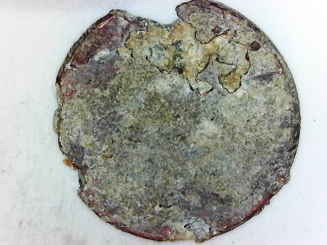 Stinkin-Lincoln-Contest!!-Post-Your-Nastiest-Zincs.